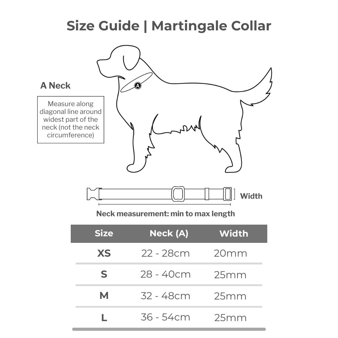 Buckle Martingale Collar