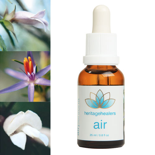Air Wildflower Essence Remedy