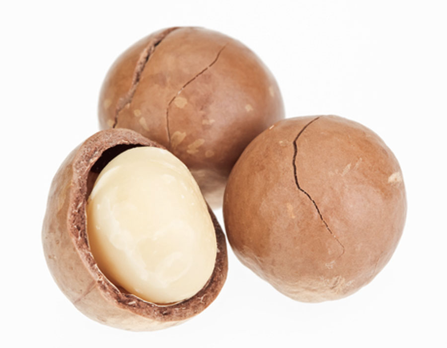 Macadamia nuts