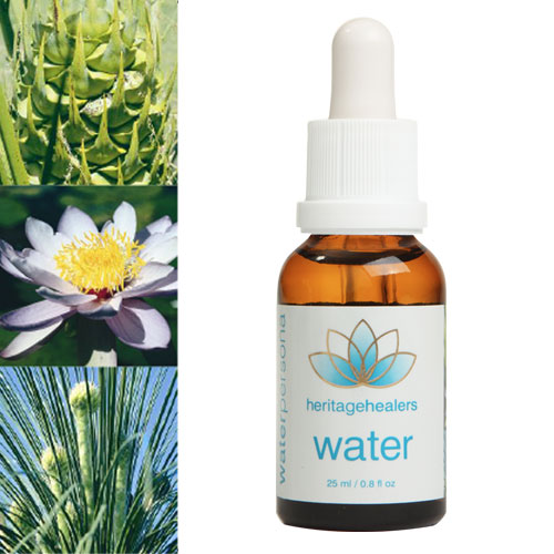 Water Wildflower Essence Remedy