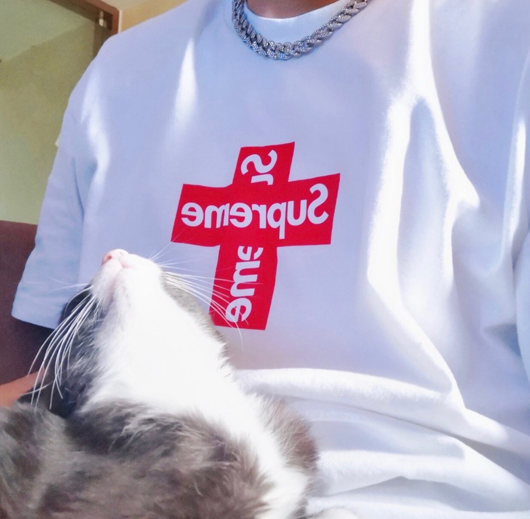 Supreme Week 17 Cross Box Logo Tee Logo T-shirt（SUP-FW20-372）