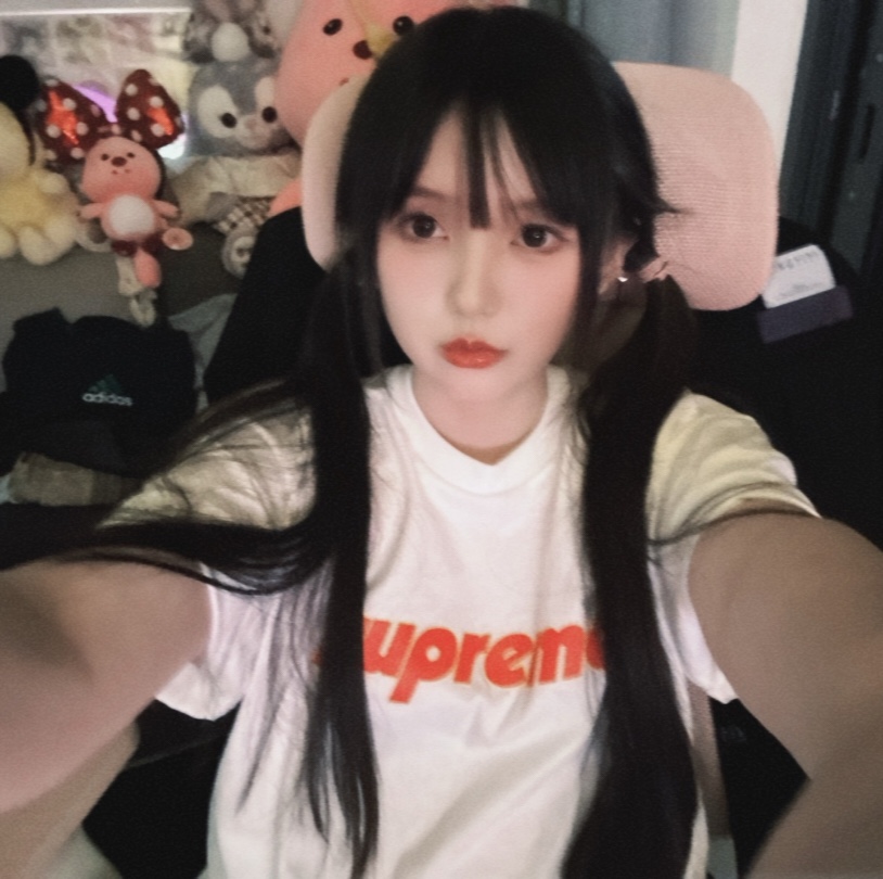 Supreme Pinline Tee White（SUP-SS24-153）