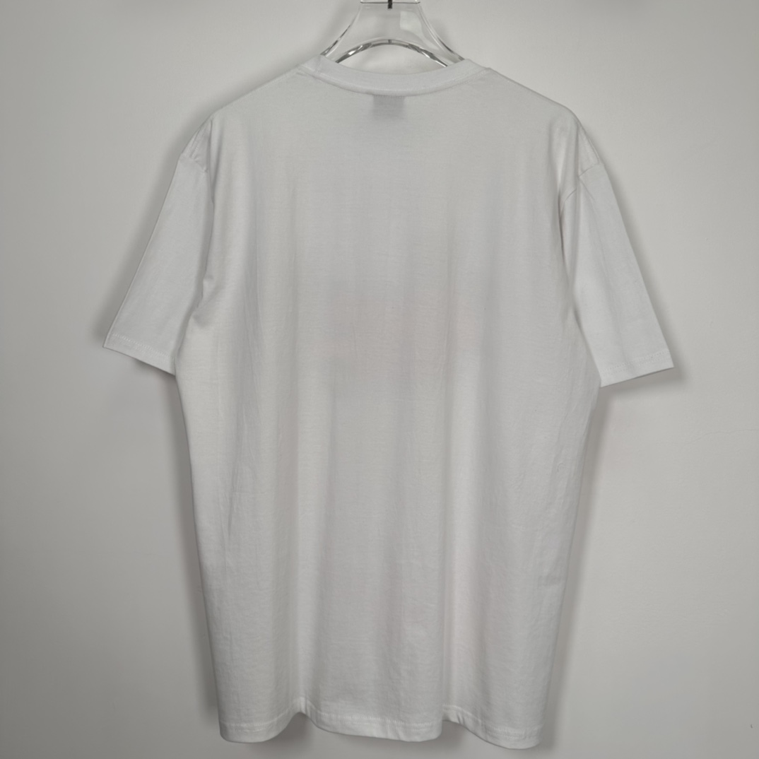 Stussy 23SS STARS TEE "White"（1904967）