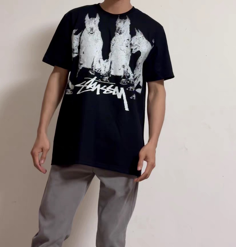 Stussy Doberman Tee Black（1904997）