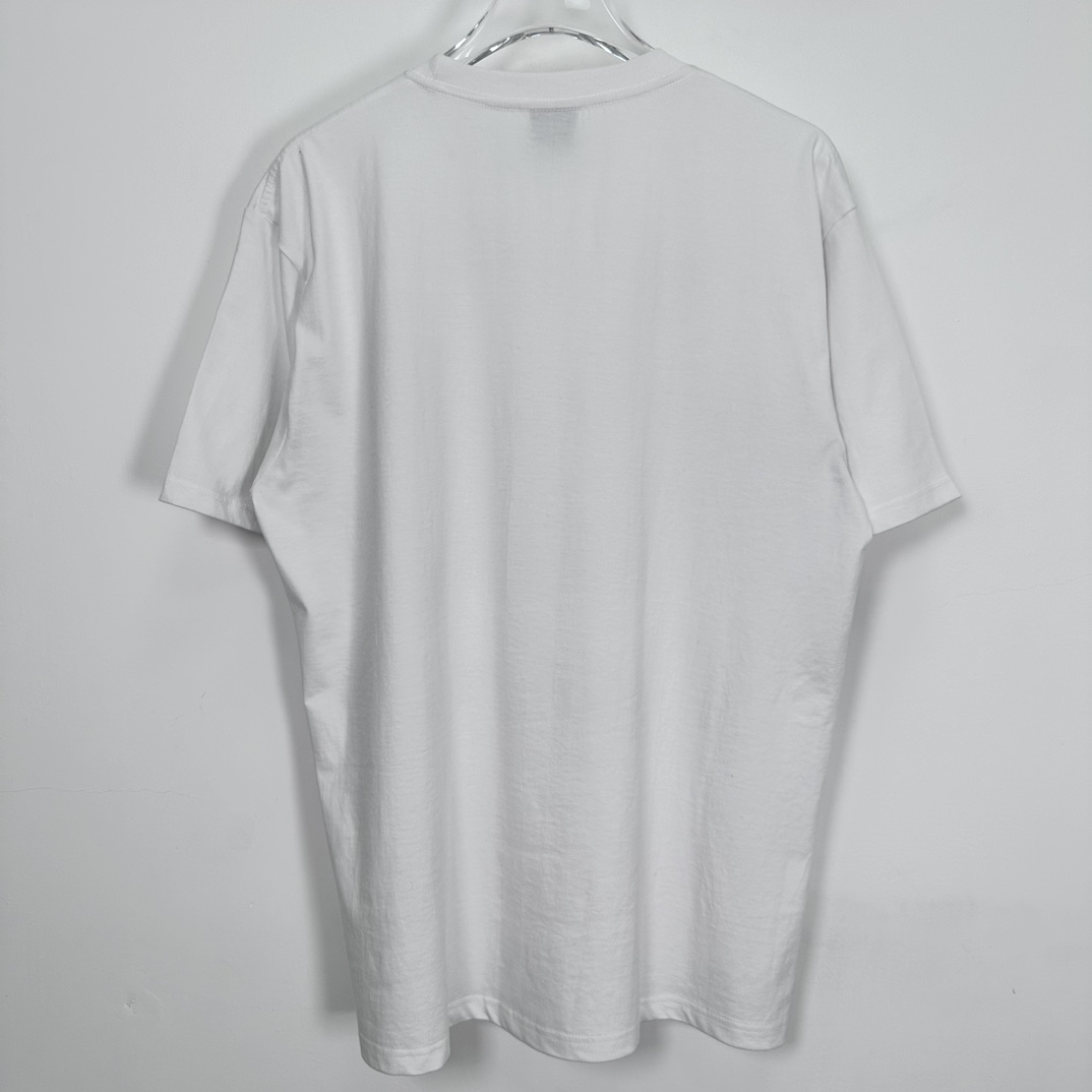 Stussy Doberman Tee White（1904998）