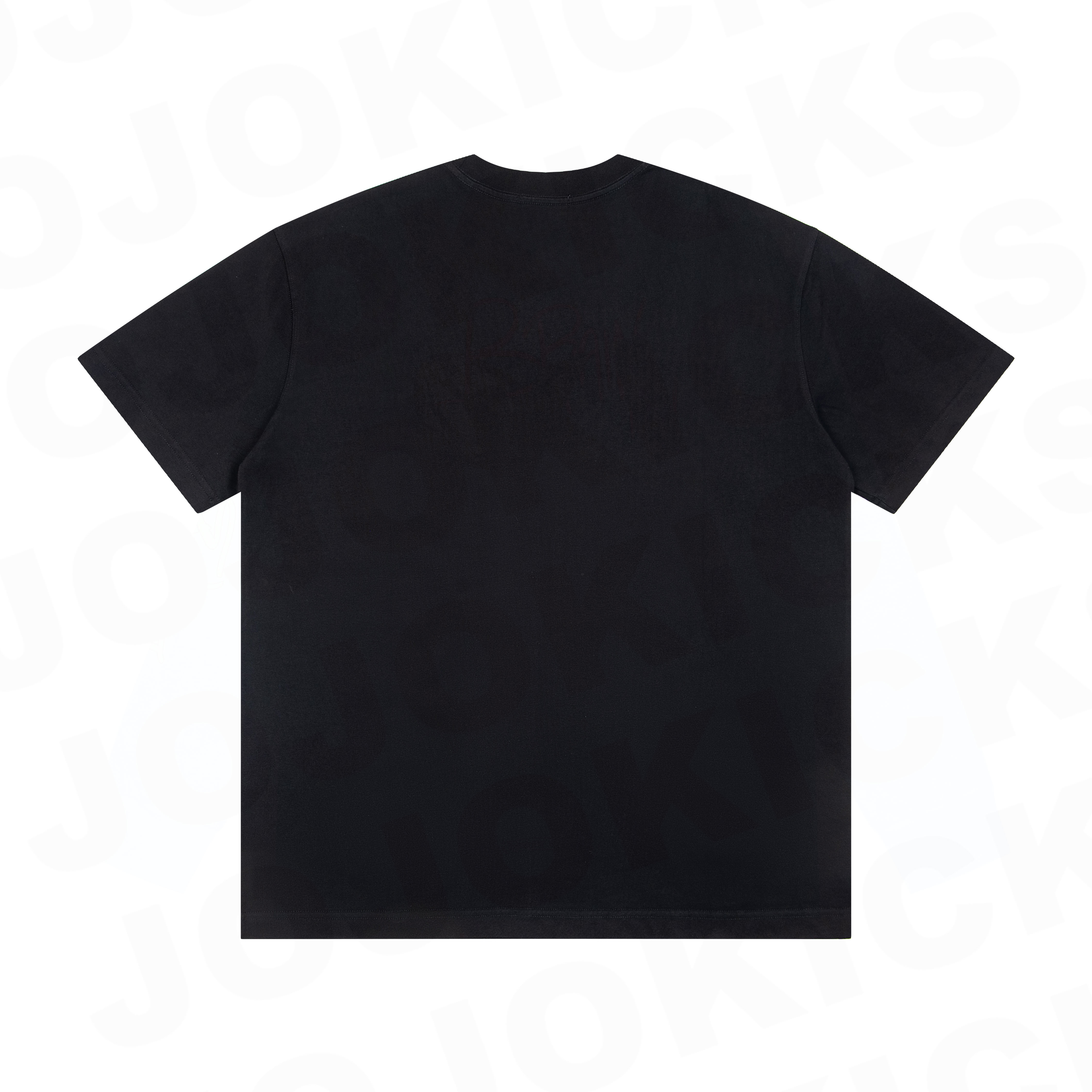 CELINE Loose T-shirt in Cotton Jersey (2X43C671Q-38AW）