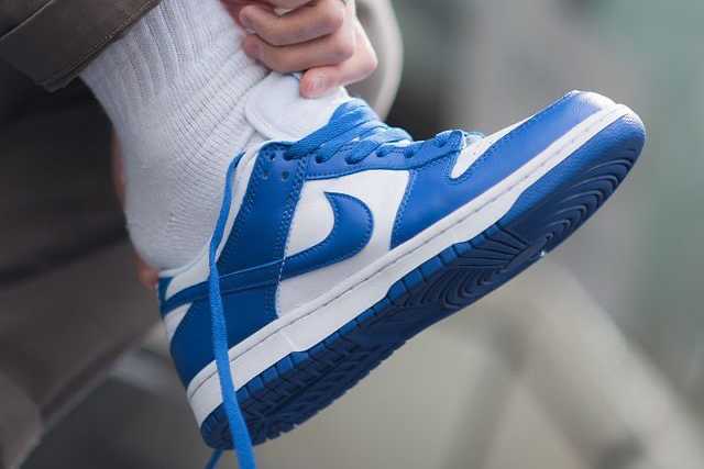 Nike Dunk Low SP 