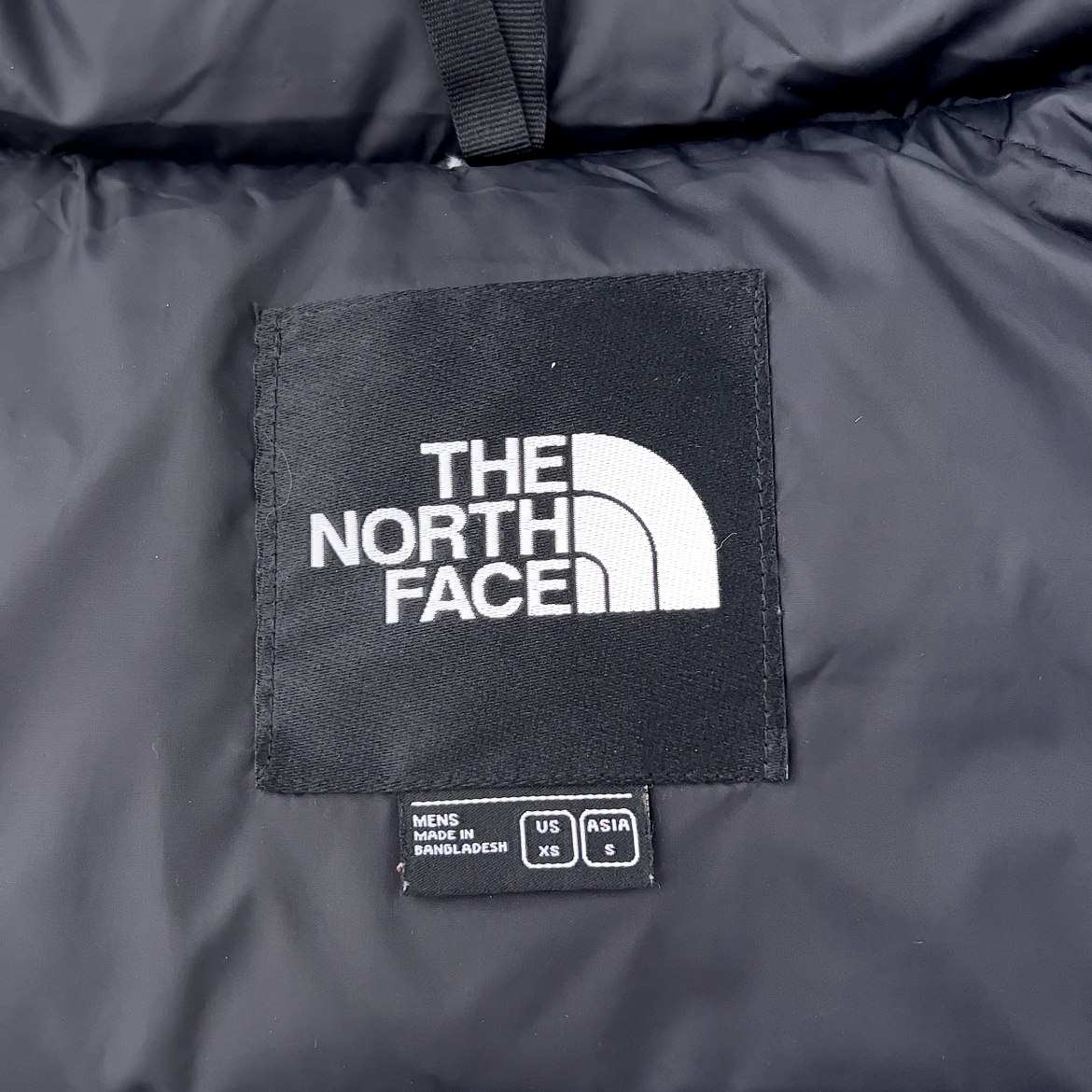 THE NORTH FACE  M'S 1996 ECO NUPTSE VEST（NF0A3JQQ-LE4）