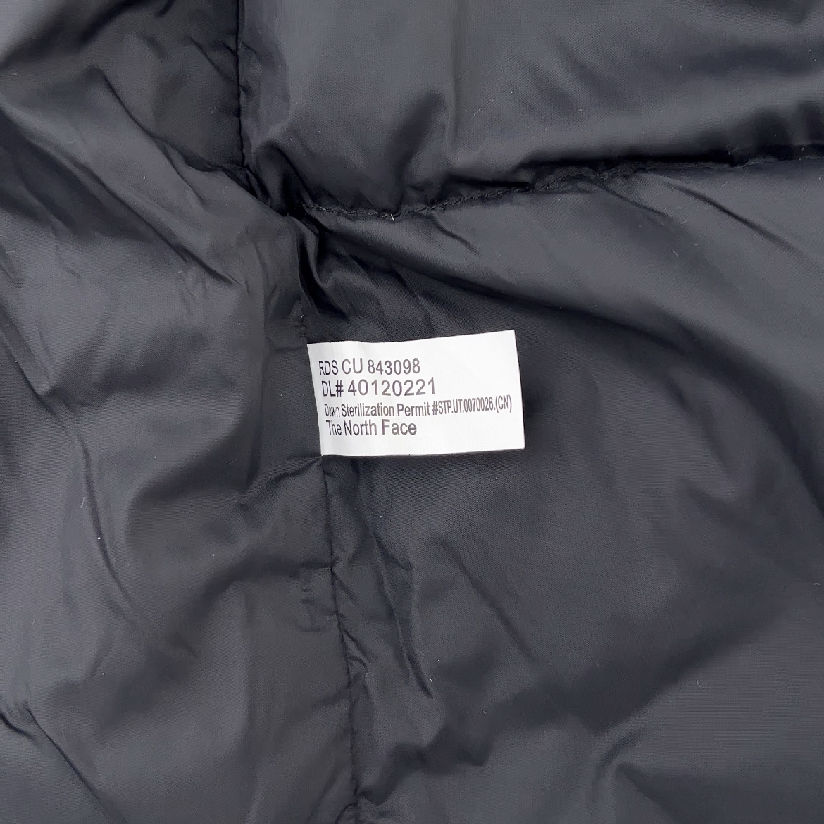 THE NORTH FACE  M'S 1996 ECO NUPTSE VEST（NF0A3JQQ-LE4）