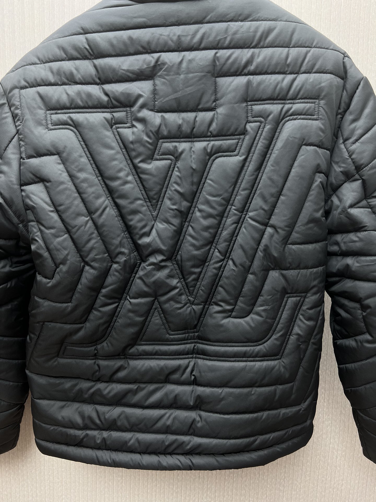 Louis Vuitton down jacket（1AGIOO）