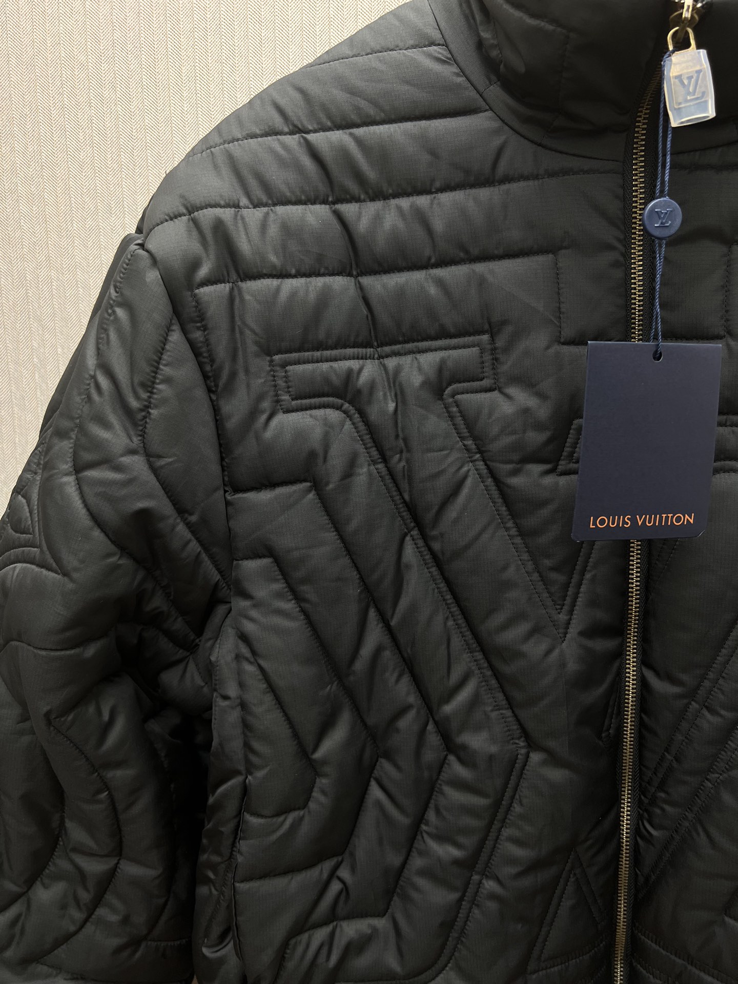 Louis Vuitton down jacket（1AGIOO）