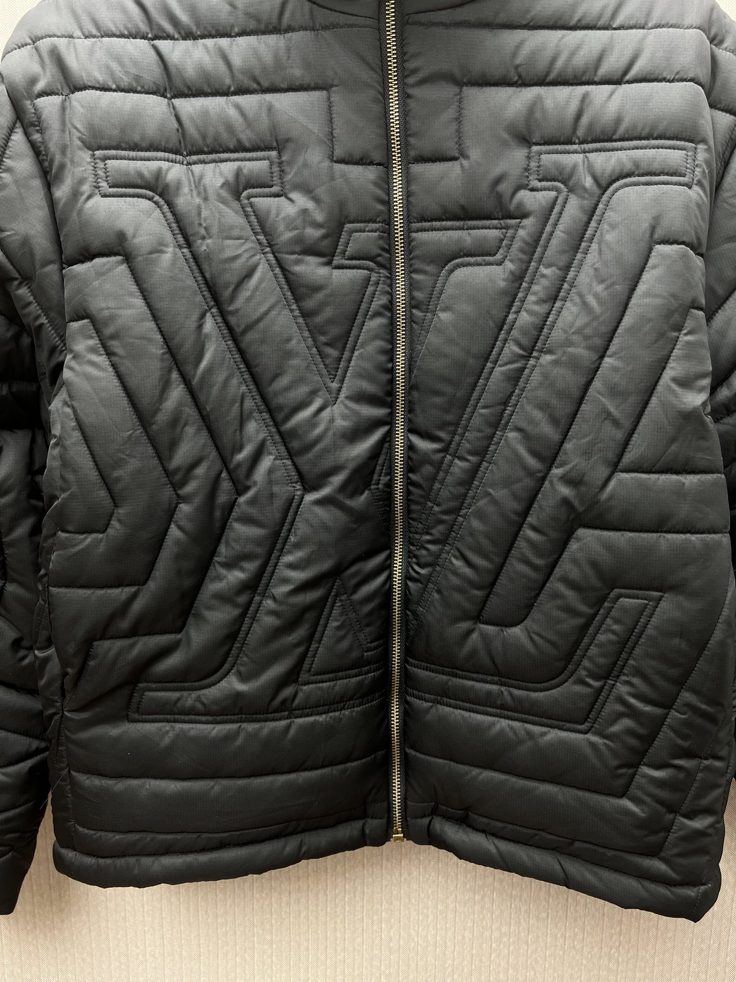 Louis Vuitton down jacket（1AGIOO）