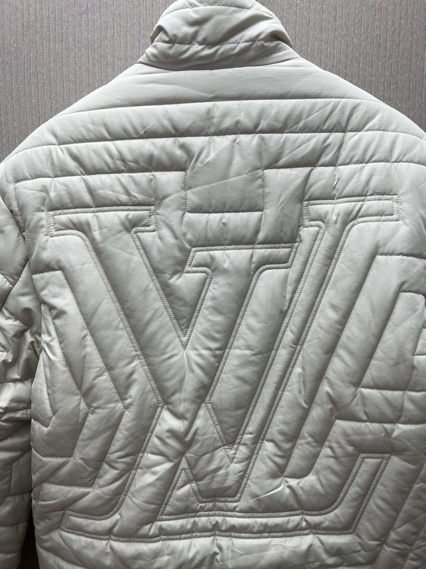 Louis Vuitton down jacket（1AGIOO）