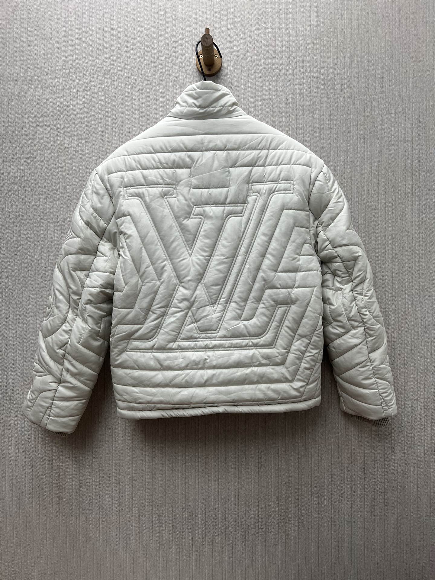 Louis Vuitton down jacket（1AGIOO）