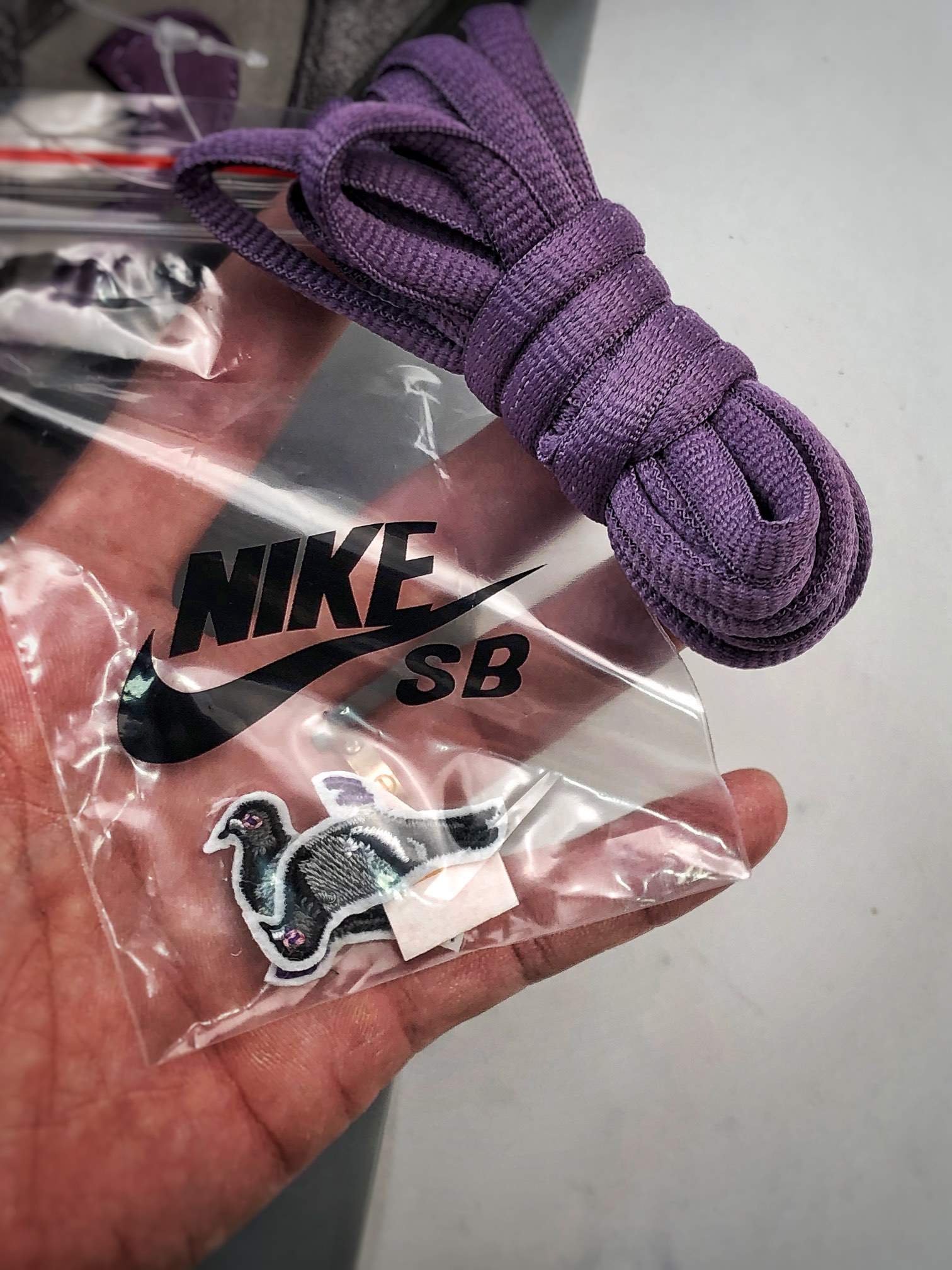 NK Dunk SB Low Purple Pigeon（304292-051）