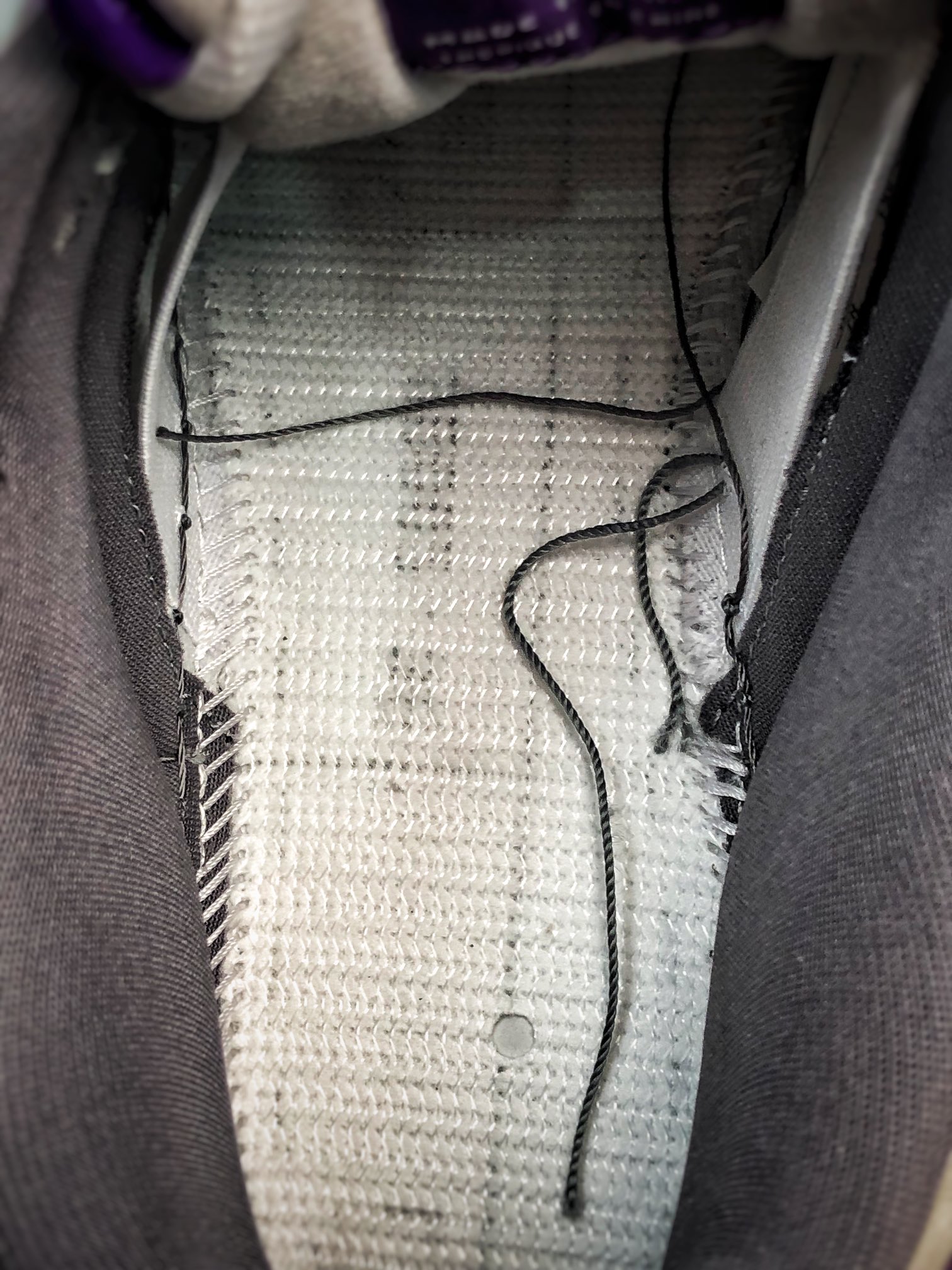 NK Dunk SB Low Purple Pigeon（304292-051）