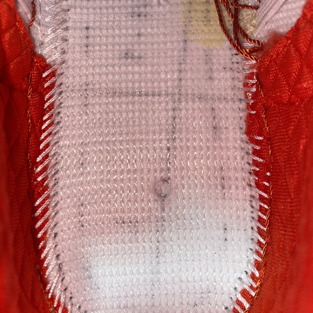 Nike Dunk SB Low reese Forbes sneakers (304304292-281)