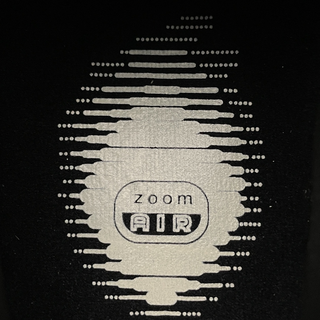 [Copy]Nike SB Dunk Low "Shadow"（308270-111）