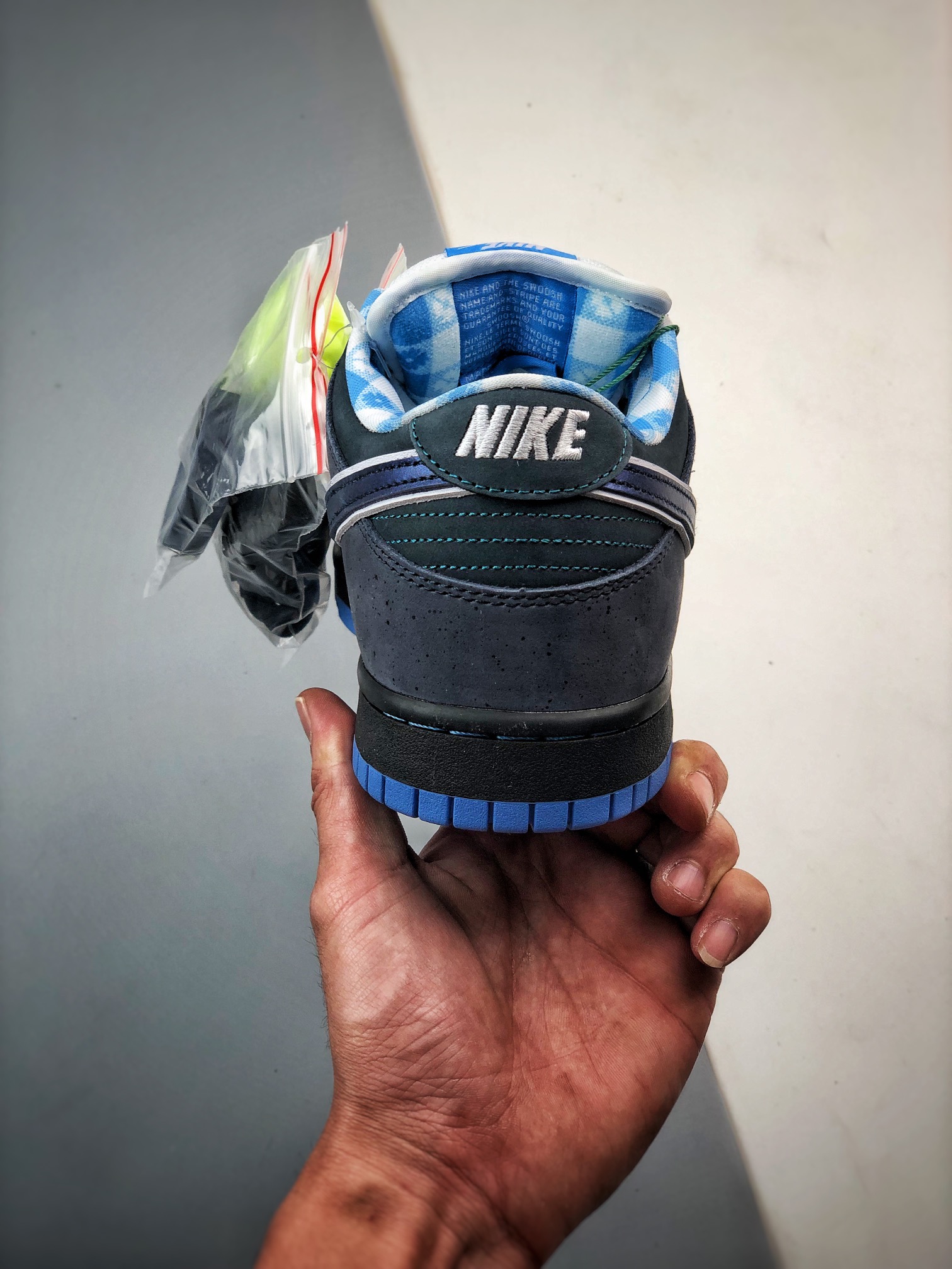 Concepts × Nike SB Dunk Low "Blue Lobster"（313170-342）