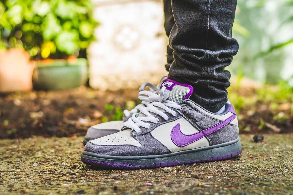 NK Dunk SB Low Purple Pigeon（304292-051）