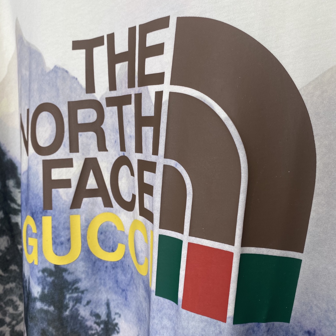 Gucci x The North Face T-shirt（672475-XJDS8-3466）