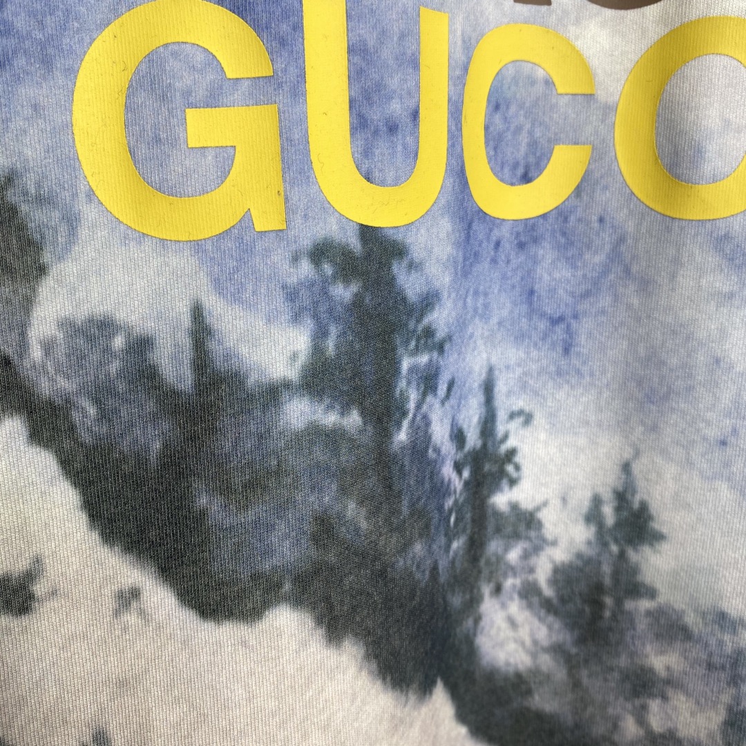 Gucci x The North Face T-shirt（672475-XJDS8-3466）