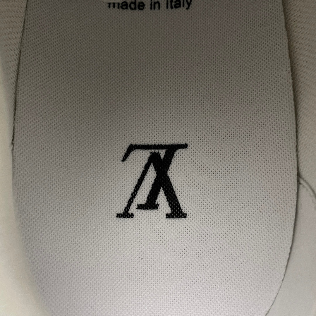 Louis Vuitton trainer sneakers （1AC29J）