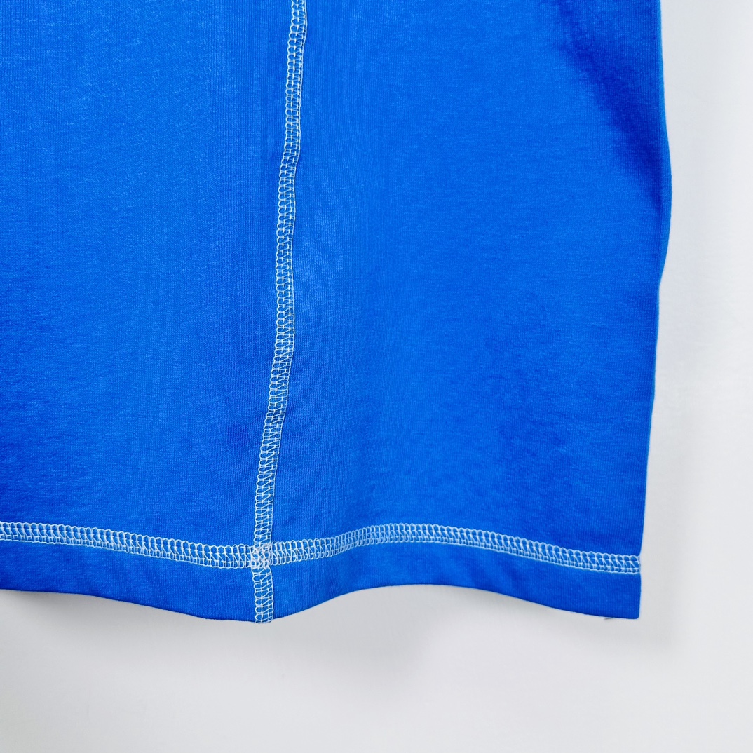 Stüssy Wave Short Sleeve Crew 'Blue'（1140348）