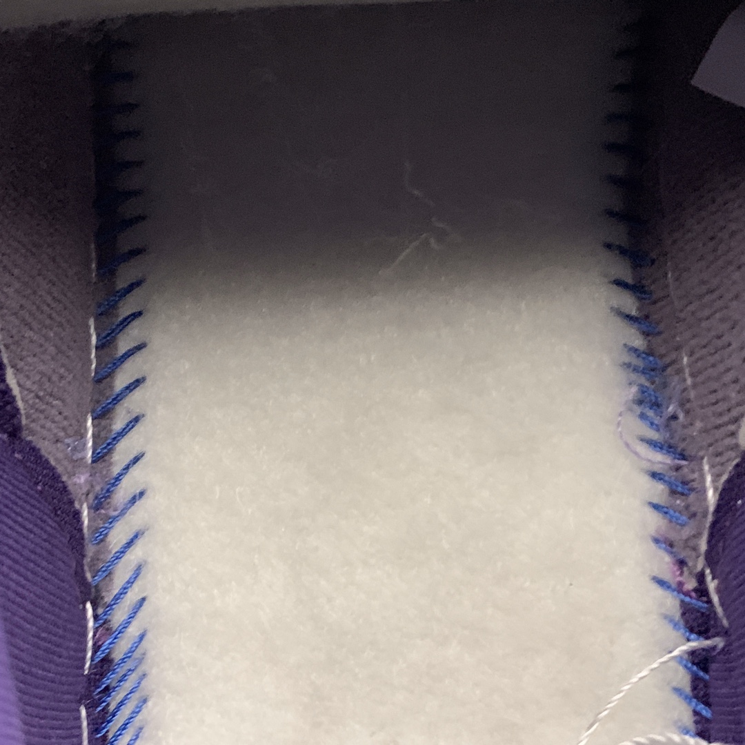 Nike Dunk Low "Plum"(CU1726-500)