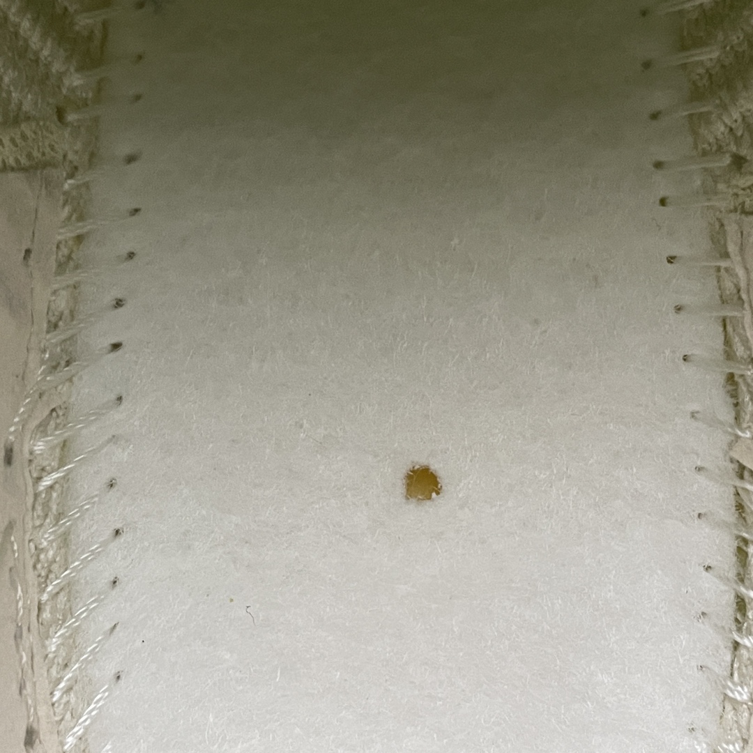 Nike Air Max Scorpion "Lemon Wash"（DJ4702-001）