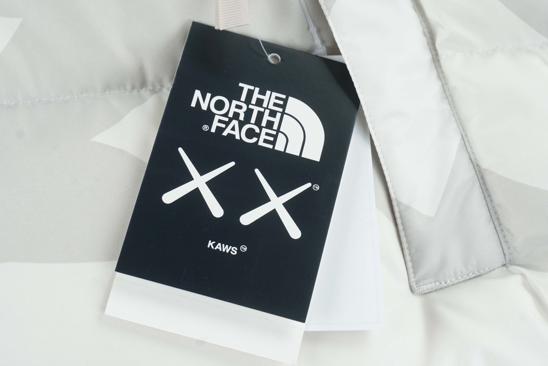 [Copy]THE NORTH FACE x XX Kaws joint model FW22 1996 Nuptse Jacket down jacket（NF0A7WLU-944）