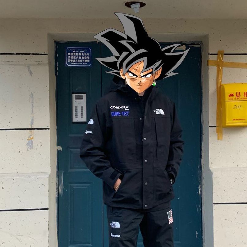 Supreme / The North Face®18FW EXPEDITION JACKET Supreme / The North Face®18FW EXPEDITION JACKET