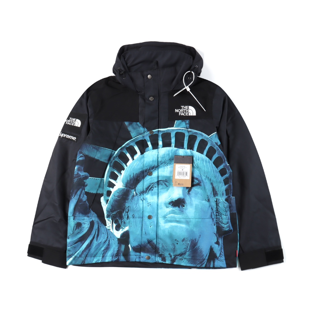 Supreme / The North Face Statue of Liberty Mountain Jacket "Black"（SUP-FW19-905）