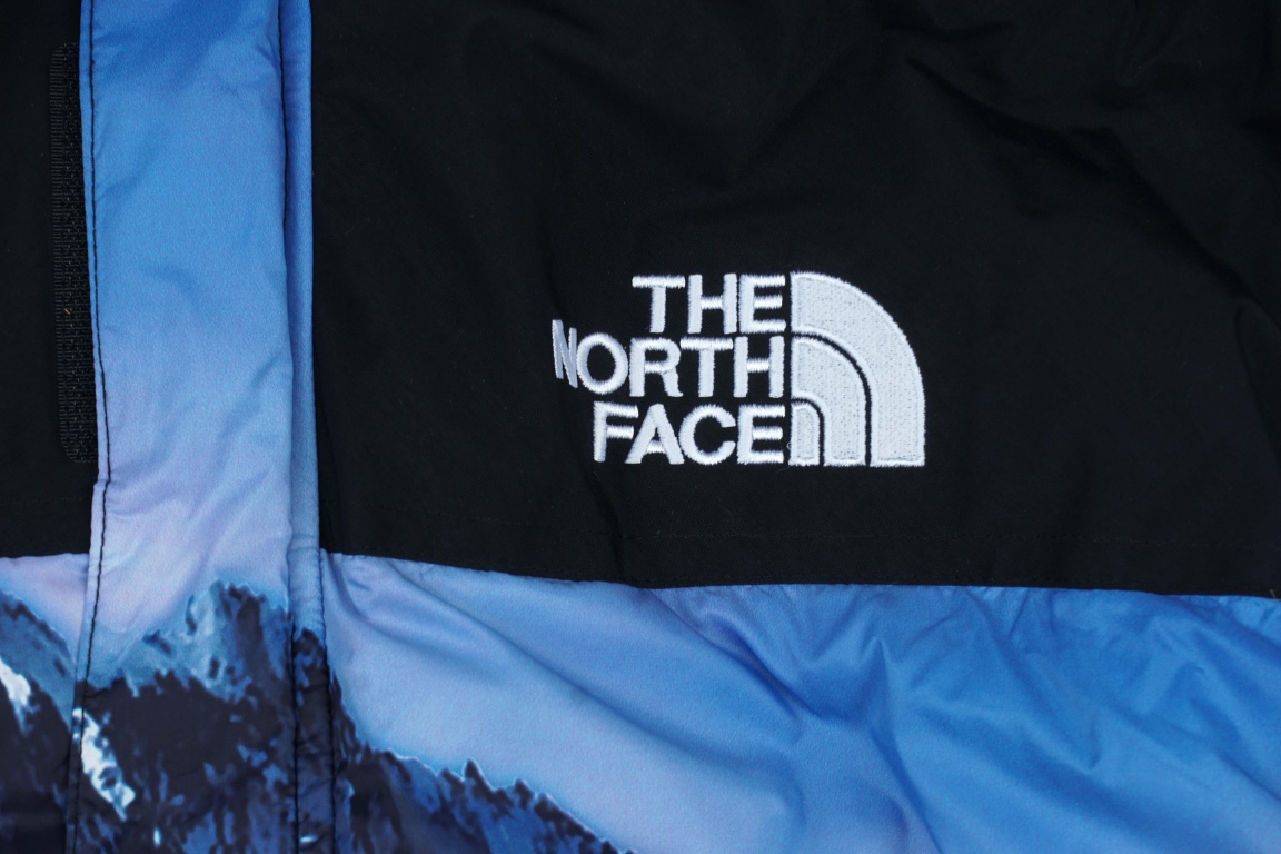 Supreme x THE NORTH FACE joint down jacket（SUP-SS18-599）
