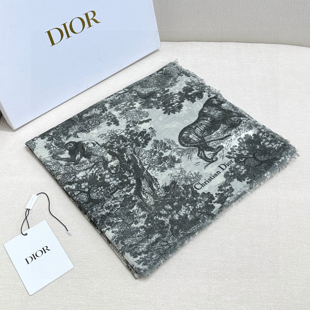 Dior Cashmere Shawls Women's（34JOU300I002C420）