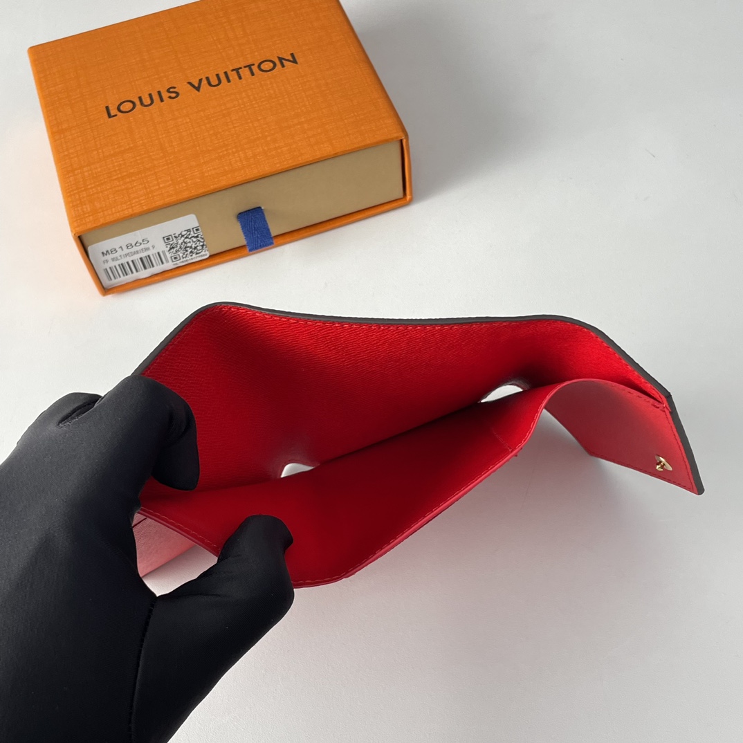 Louis Vuitton x Yayoi Kusama Brown/Multicolor BROWN（M81865）