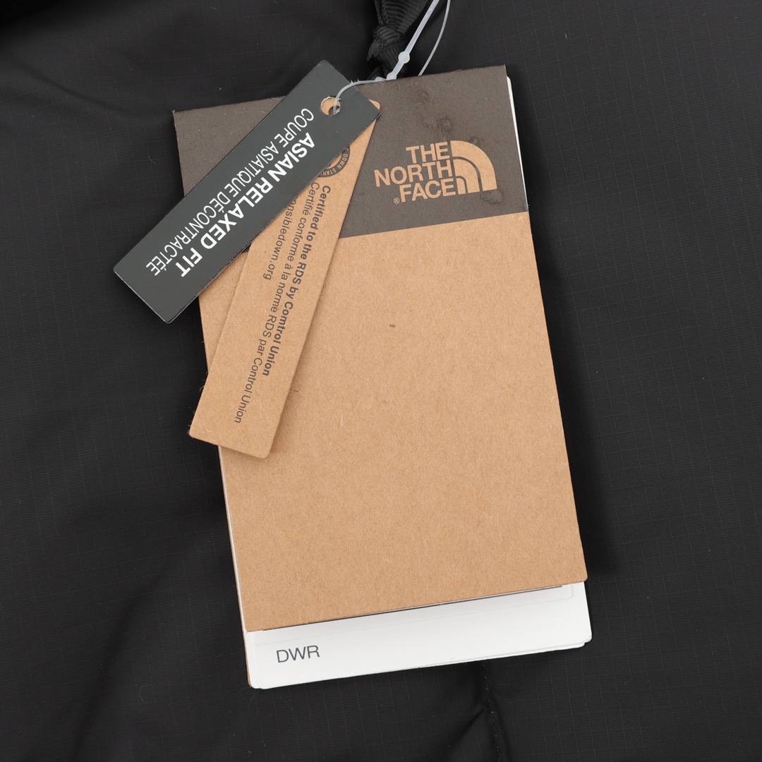 THE NORTH FACE  M'S 1996 ECO NUPTSE VEST（NF0A3JQQ-LE4）