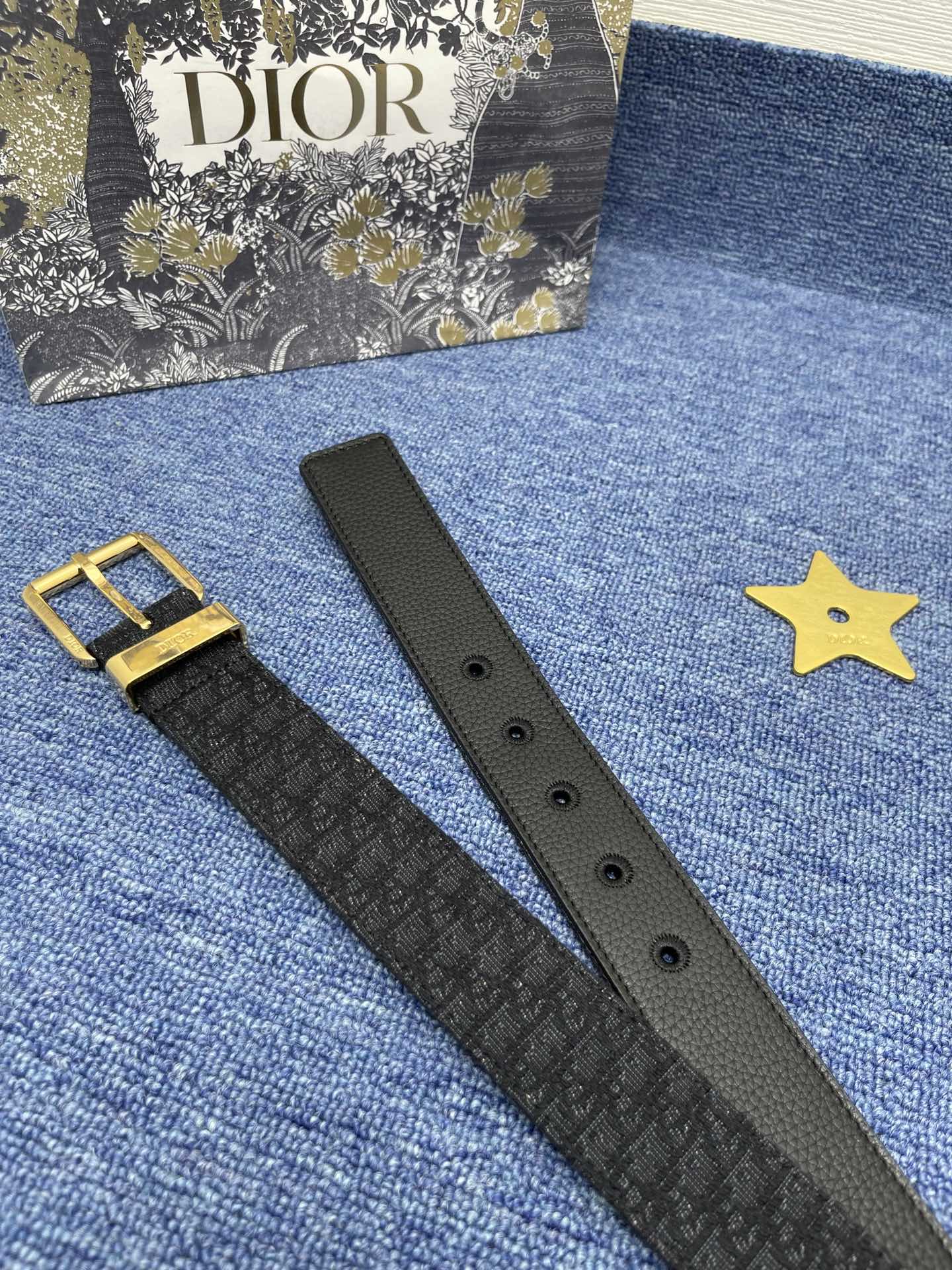 Dior ultra-mini Oblique printed fabric（4333RUDOR_H03E）