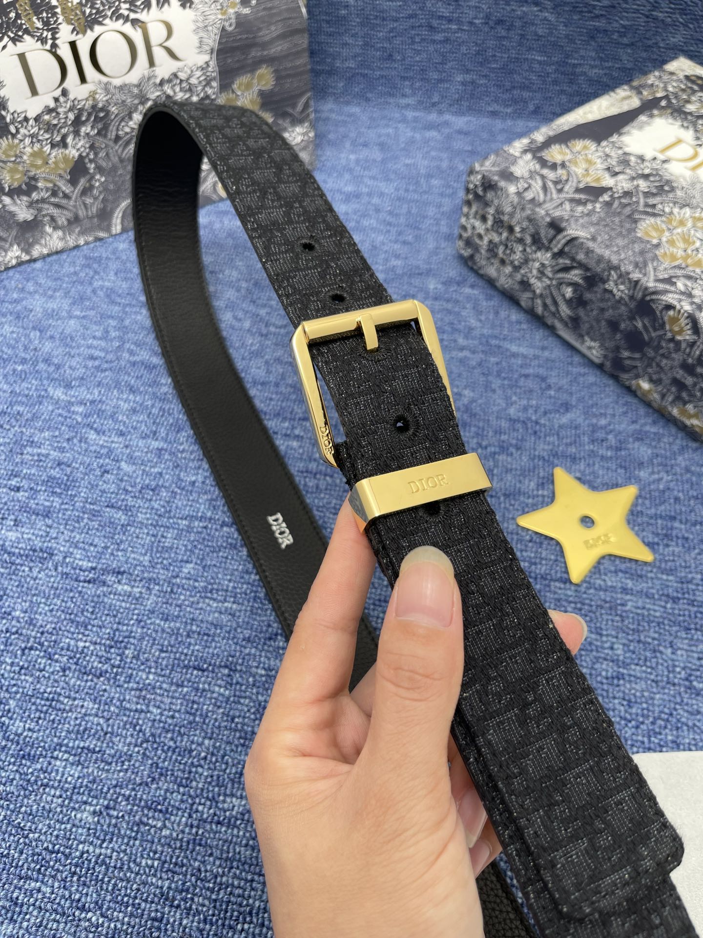 Dior ultra-mini Oblique printed fabric（4333RUDOR_H03E）