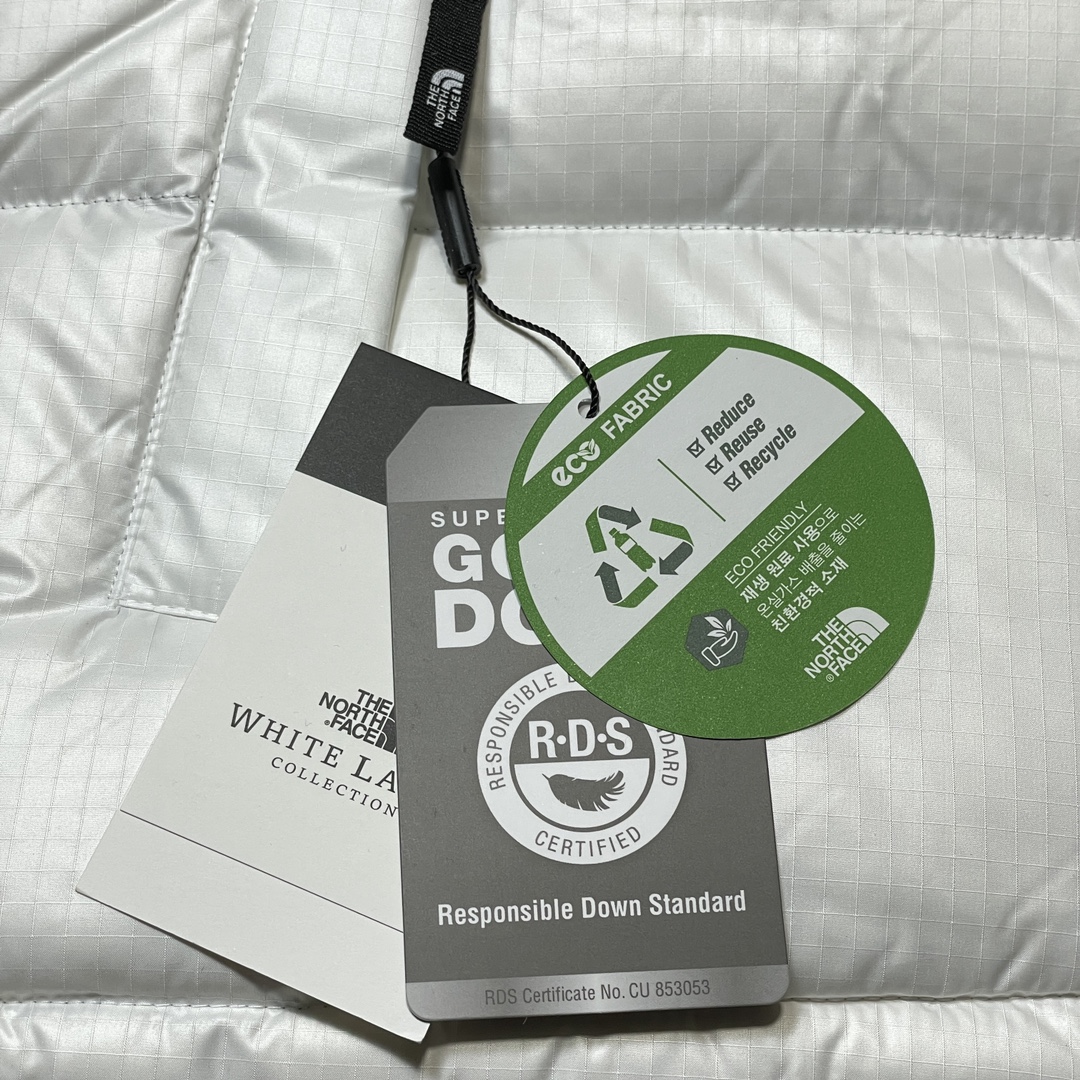 THE NORTH FACE★NOVELTY NUPTSE DOWN JACKET（NJ1DP62L）