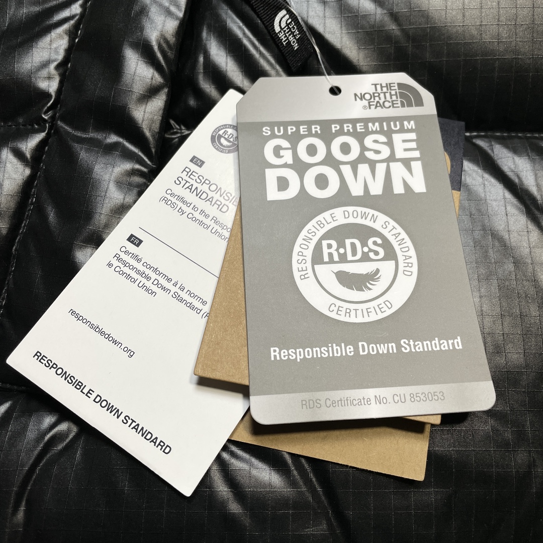 THE NORTH FACE★NOVELTY NUPTSE DOWN JACKET（NJ1DP62J）