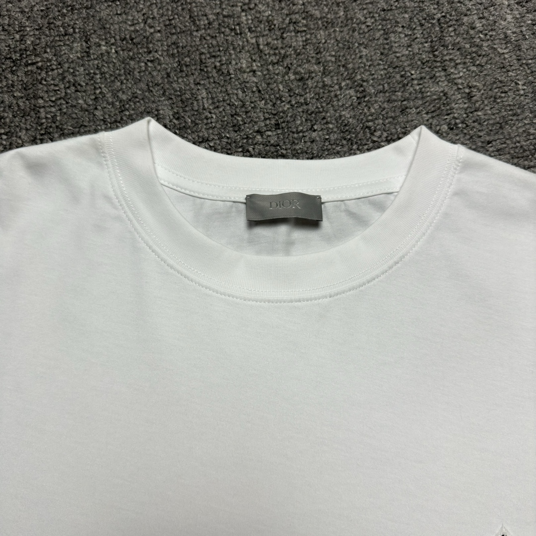 Dior Embroidered T-shirt（393J696H0677-C088）