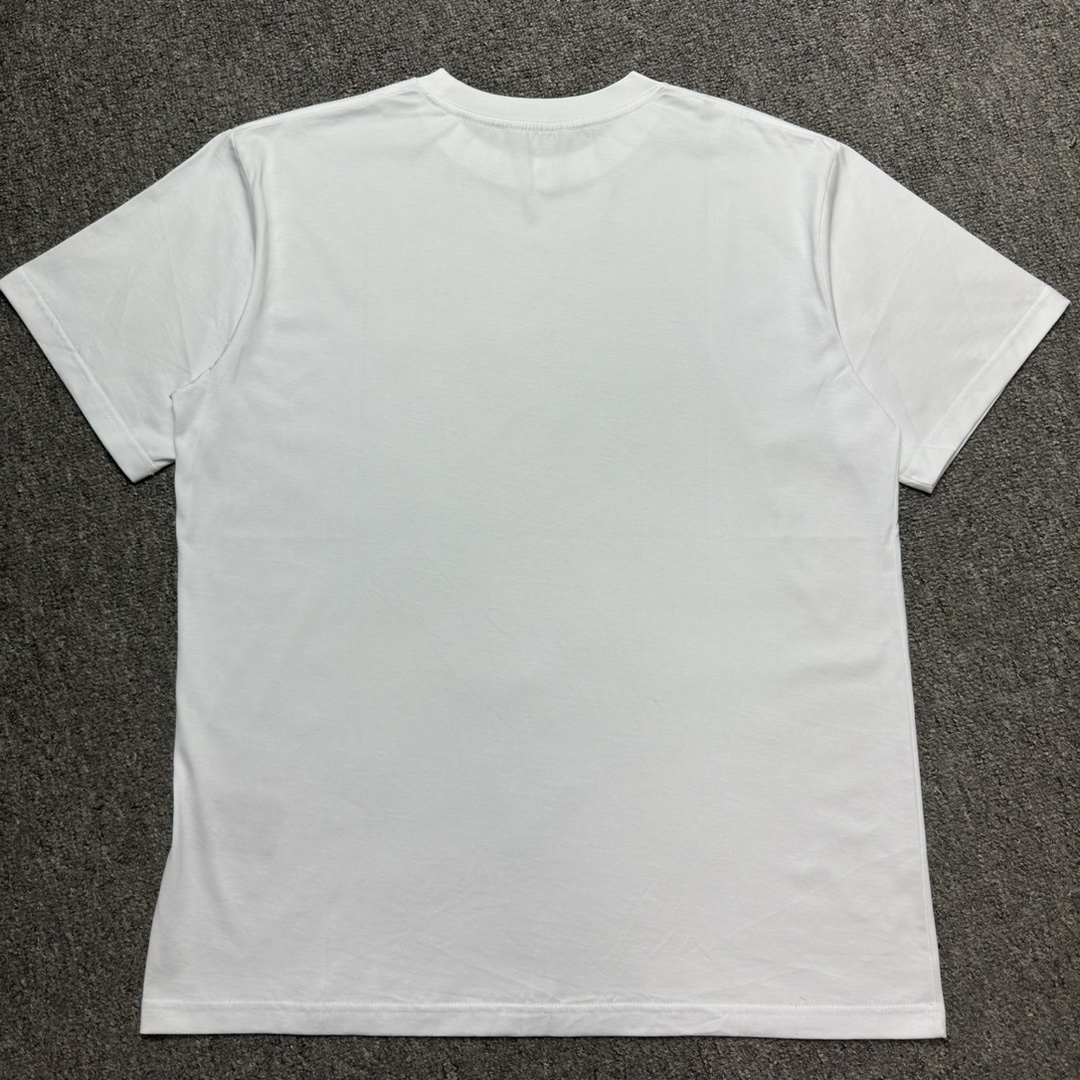 Dior Embroidered T-shirt（393J696H0677-C088）