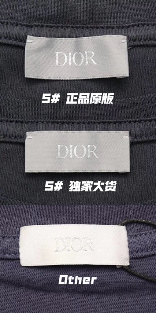 Dior Embroidered T-shirt（393J696H0677-C588）