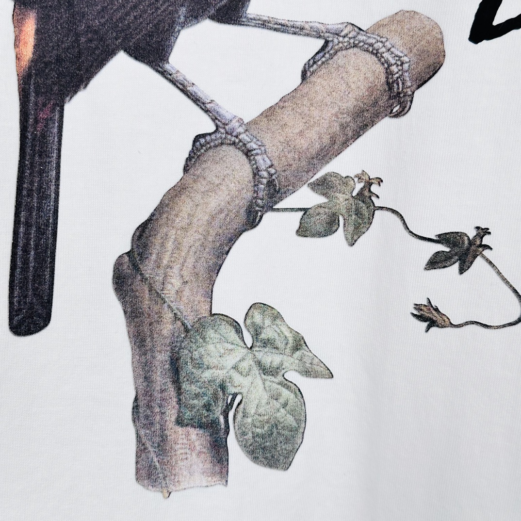 STUSSY TOUCAN T-SHIR（1905069)