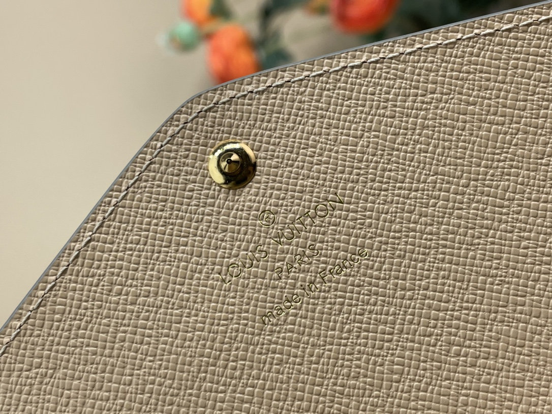 Louis Vuitton wallet (M60531)