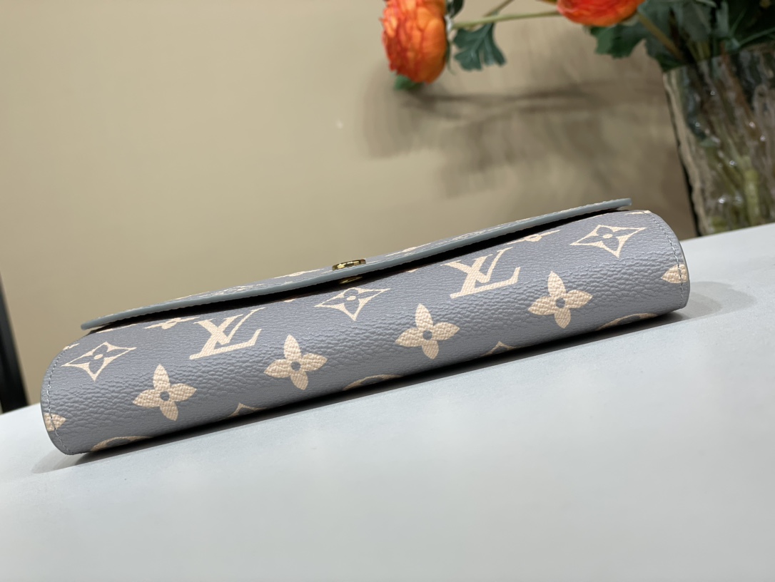 Louis Vuitton wallet (M60531)