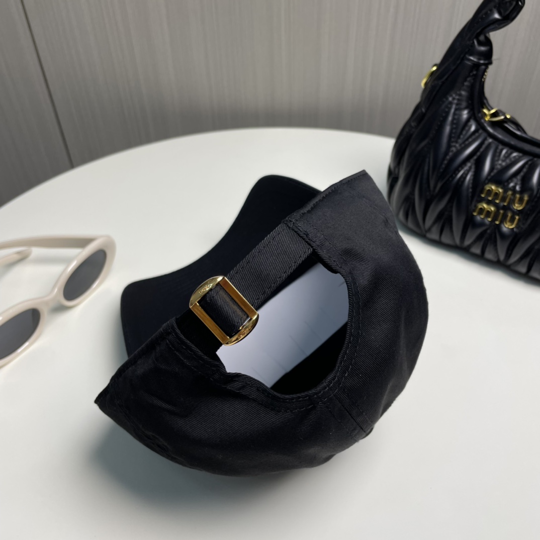 Celine hat（2aug4-969p-38dd）