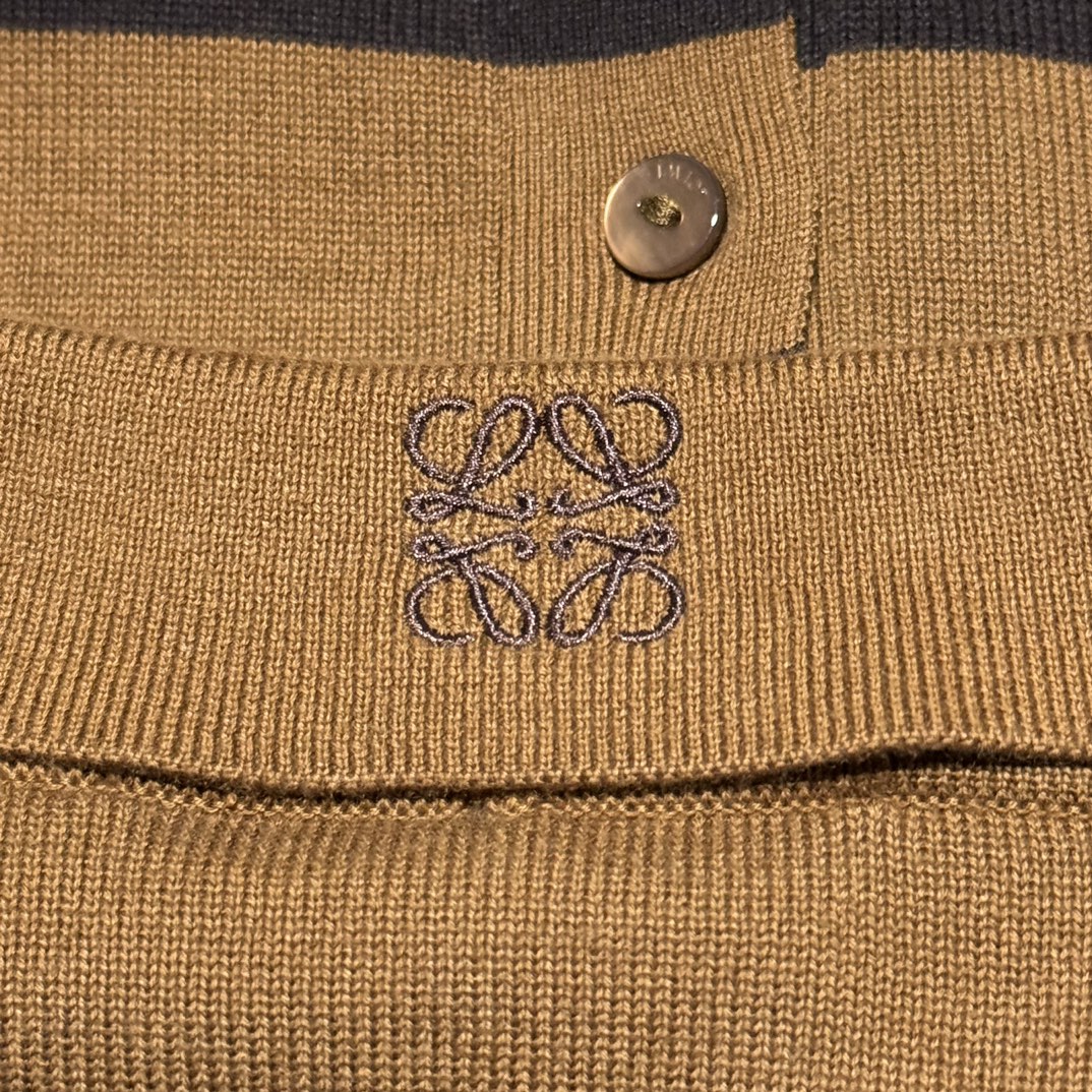 Loewe Polo sweater in cotton  (H616Y14K57-2144）