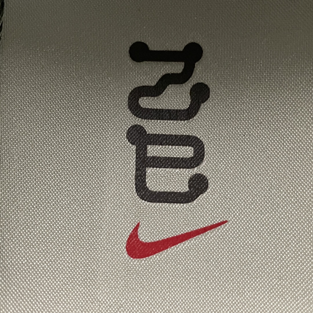 Nike Dunk Low "Year of The Snake"(HV5980-231)